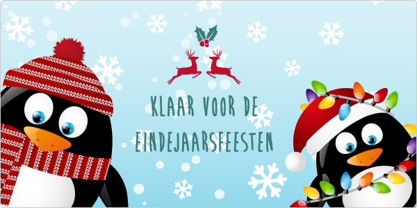 Onze eindejaarsperiode